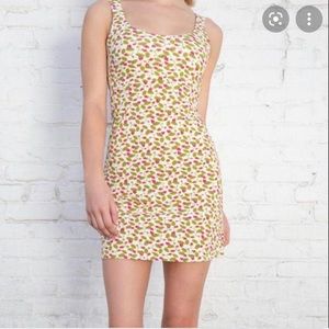 Rare brandy Melville strawberry vines dress! Never worn before!